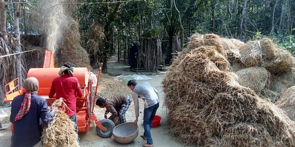 ঝালকাঠিতে আদি কৃষি পরিণত হচ্ছে আধুনিক কৃষিতে